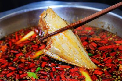 成都郫縣有沒有專業(yè)培訓(xùn)耗兒魚培訓(xùn)學(xué)校？