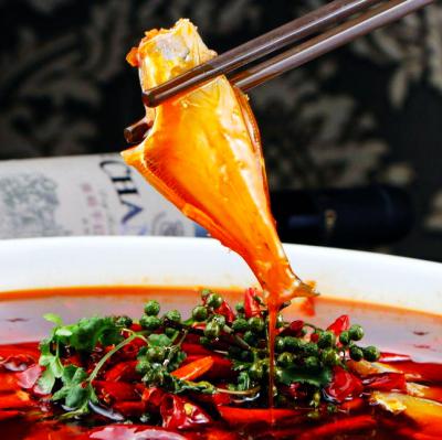 耗兒魚技術(shù)培訓(xùn)在哪里學(xué)？