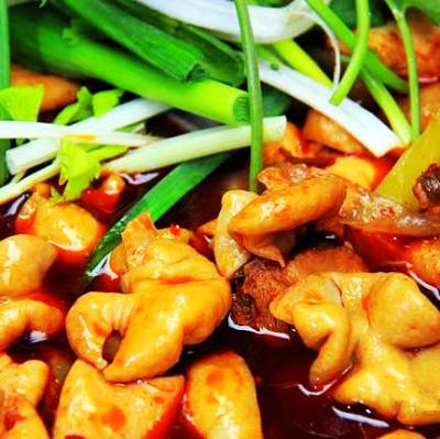 肥腸雞技術(shù)培訓(xùn)要去哪里學(xué)？